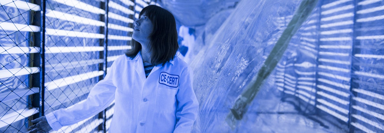 woman working in ce-cert
