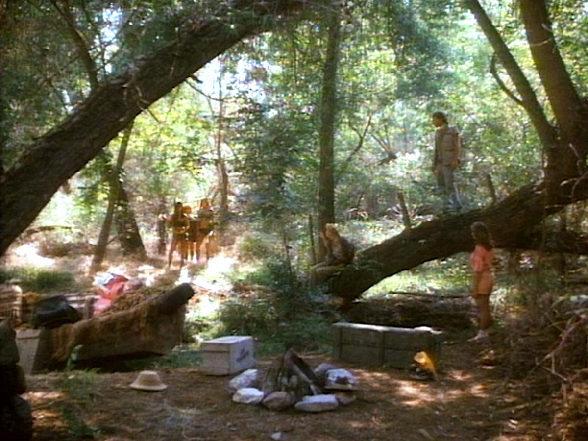 Still from the movie 'Cannibal Women in the Avocado Jungle of Death', showing The Piranha Women.