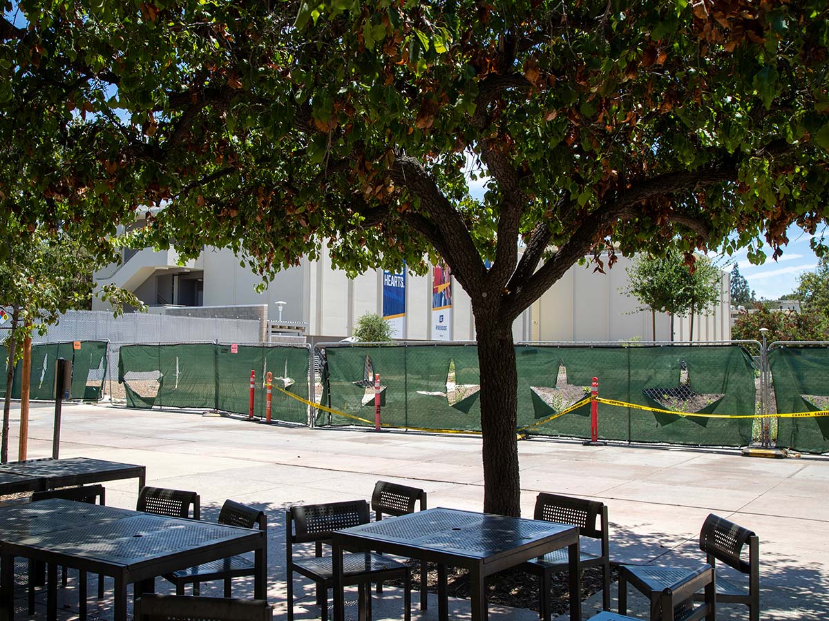 HUB tables sit under the shade of trees near Pierce Hall.