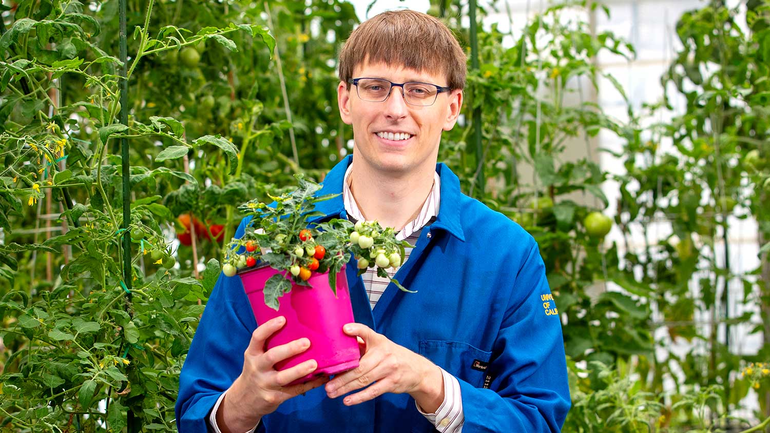 Robert Jinkerson, Associate Professor, Chemical Environmental Engineering Dept, holds up his specially grown tomatoes.
