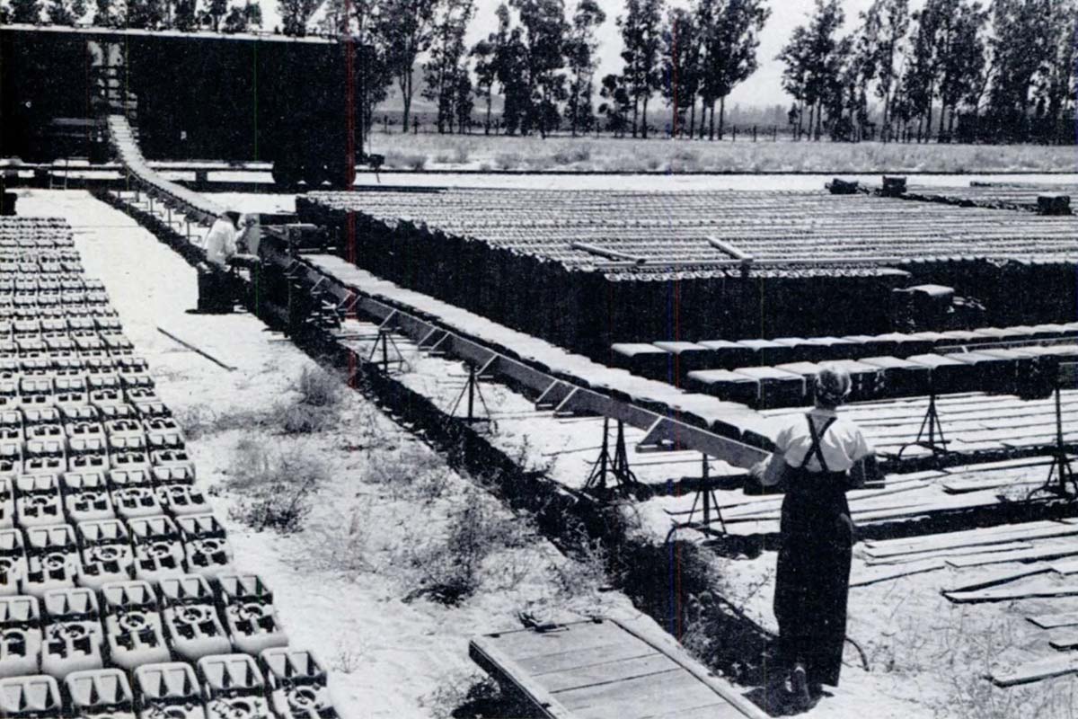 The U.S. Army established the Mira Loma Quartermaster Supply Depot in 1942, relying on civilian women, who made up 80% of the workforce.