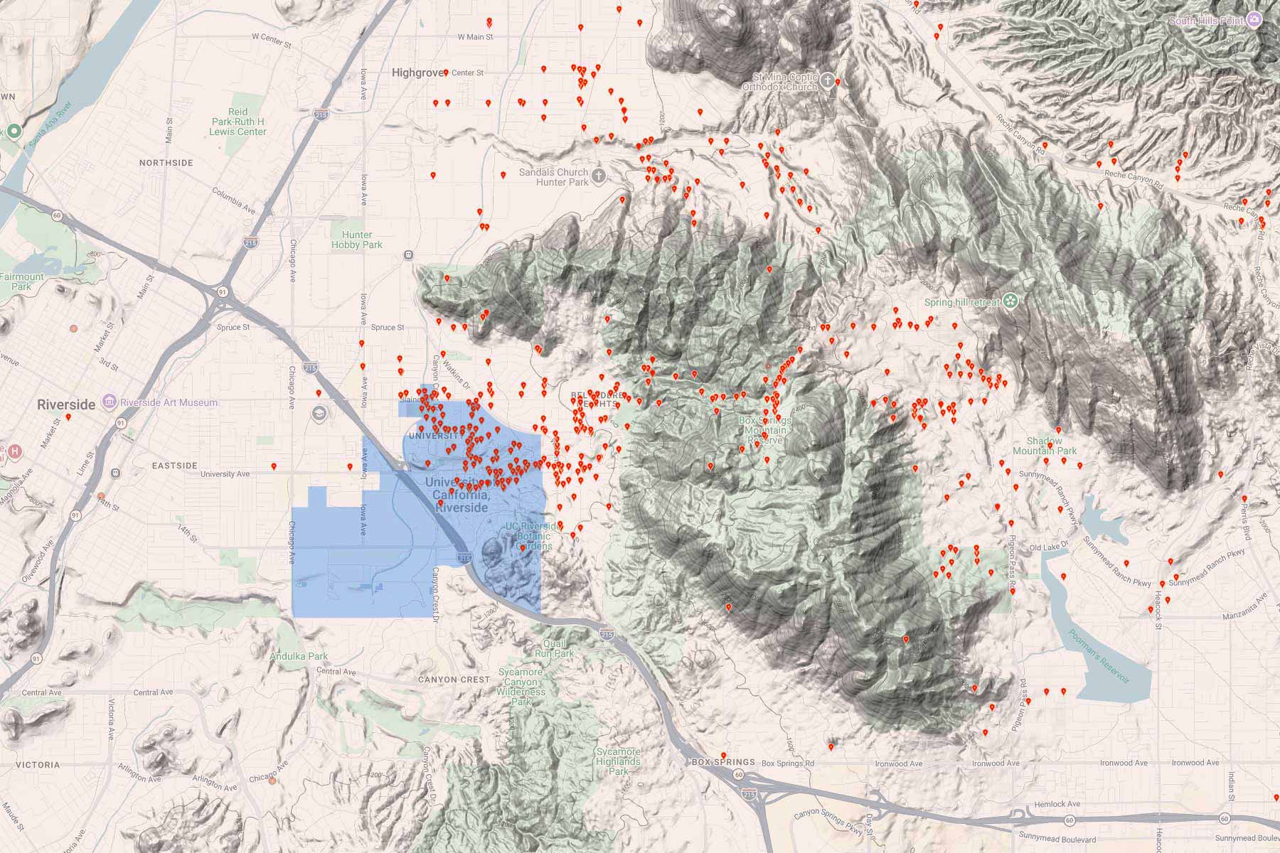 Map showing the locations of burro sightings through Box Springs canyon.