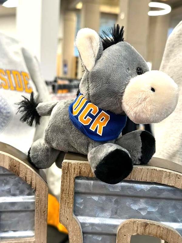 Burro plushie in the UCR Campus Bookstore.