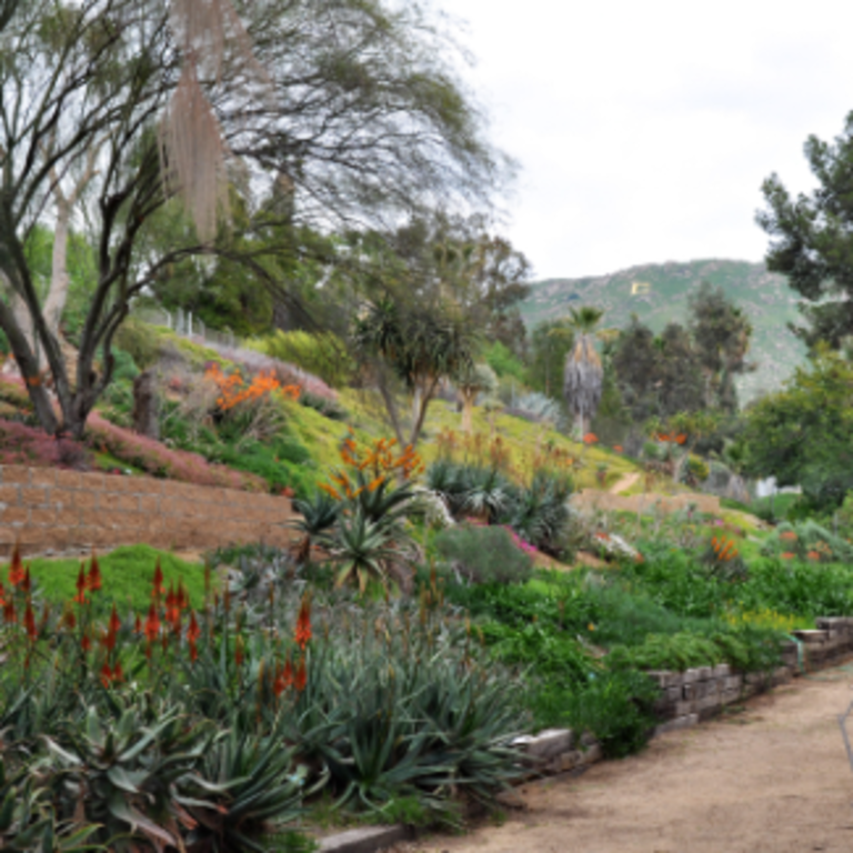 Botanic Gardens walk