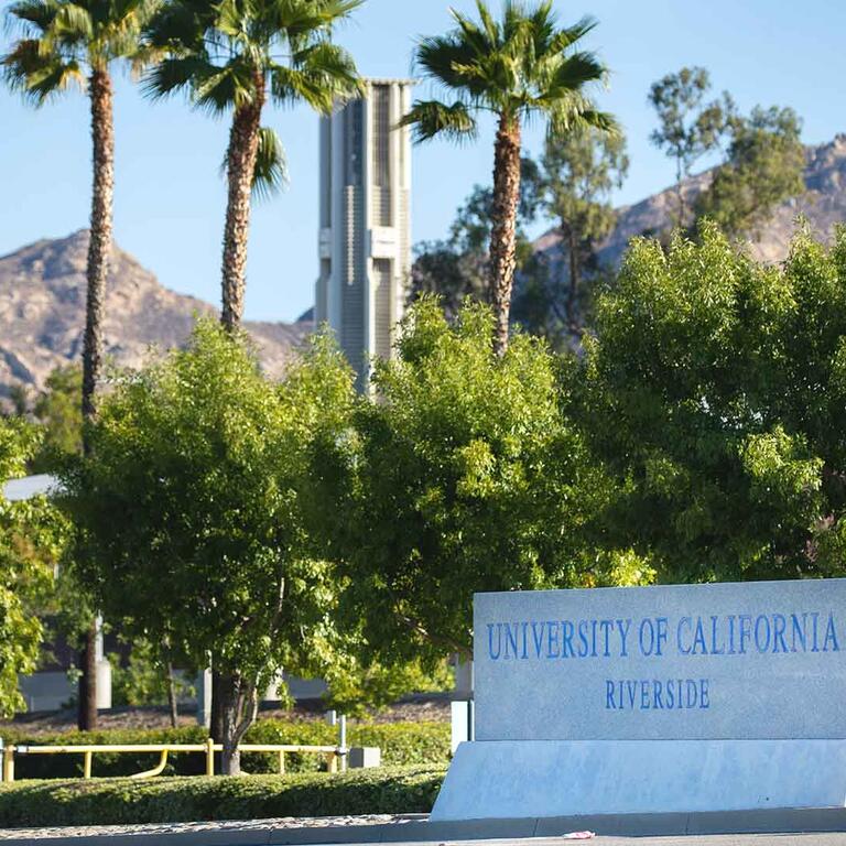 Background image of the one of the campus entrances with the University concrete signage.