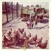 Garfield Hinchen with his grandchildren visiting the animals on a farm in Valley Truck Farms.