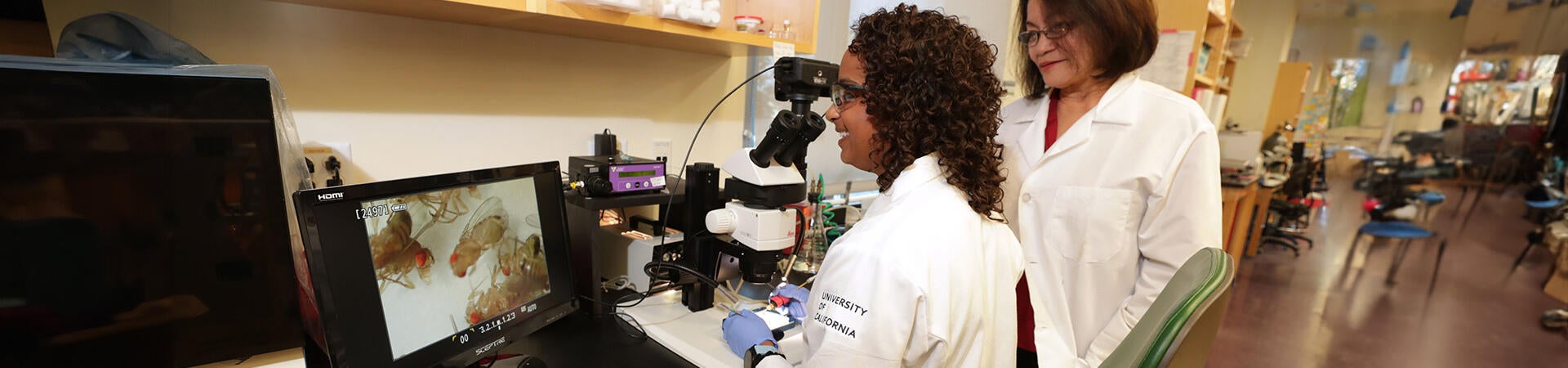 Students work with a microscope in the Dillman lab