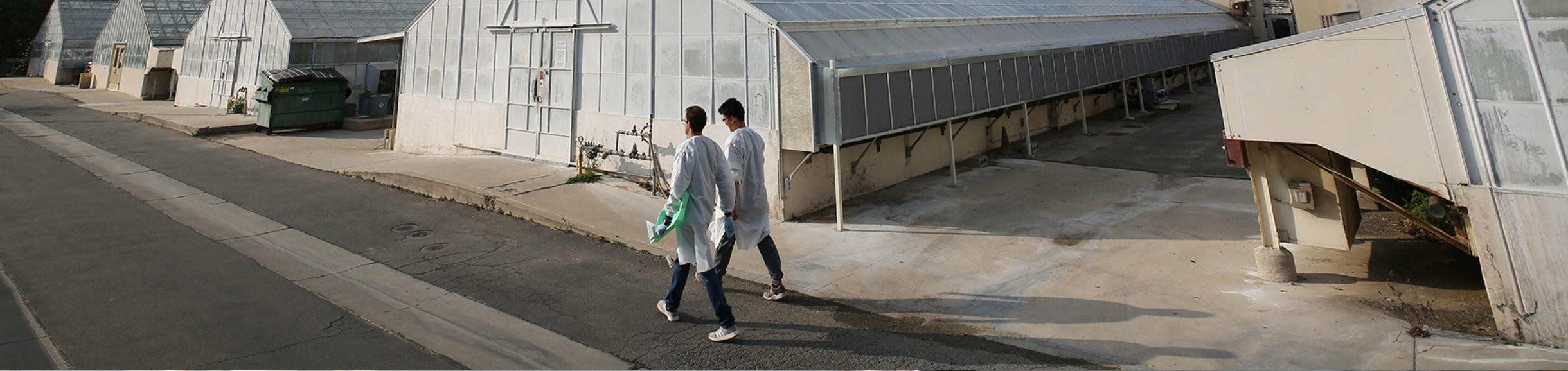 students walking in front of greenhouses