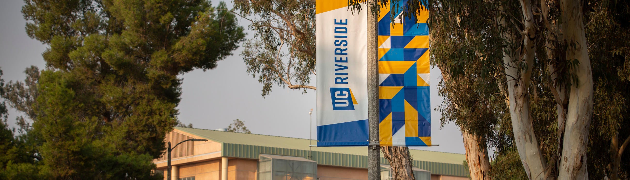 Home University Of California Riversidehomepage